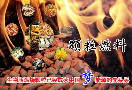 生物質(zhì)燃料顆粒多少錢一噸！