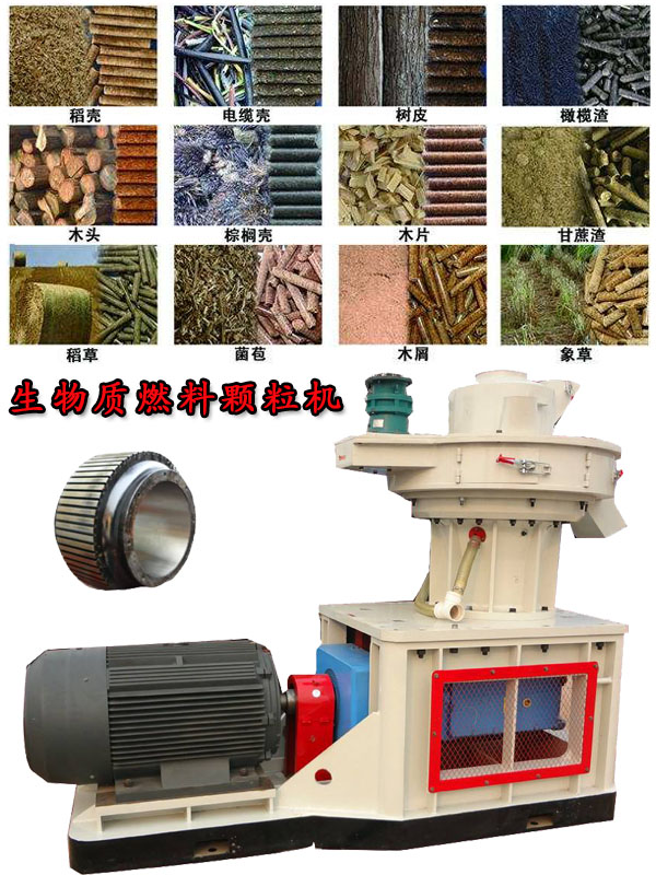 國(guó)內(nèi)外生物質(zhì)燃料顆粒機(jī)應(yīng)用現(xiàn)狀的疑問！